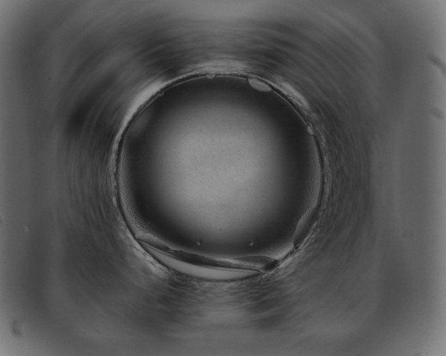 X0000093581248200710151139
