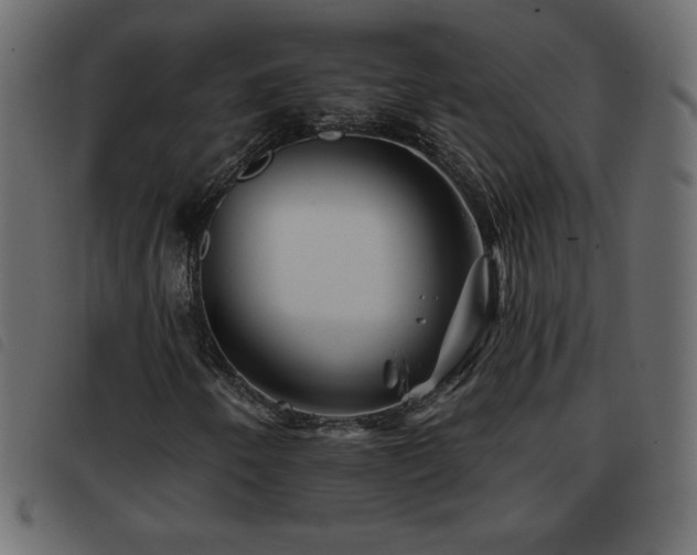 X0000093581250200710151138