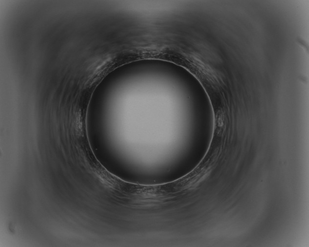 X0000093581252200710151138