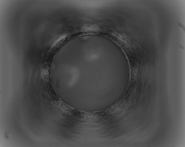 X0000093581254200710151138