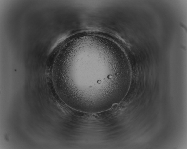 X0000093581255200710151138