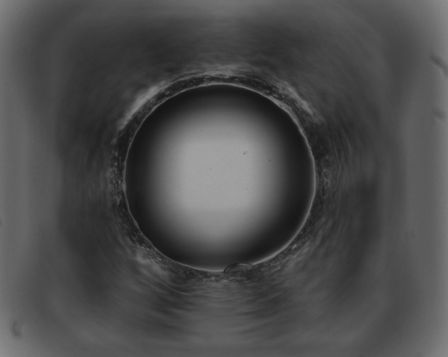 X0000093581256200710151138