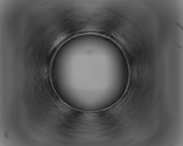 X0000093581258200710151138