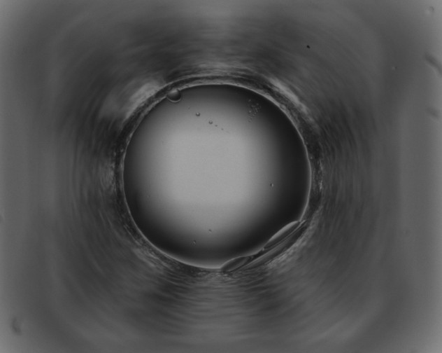 X0000093581259200710151138
