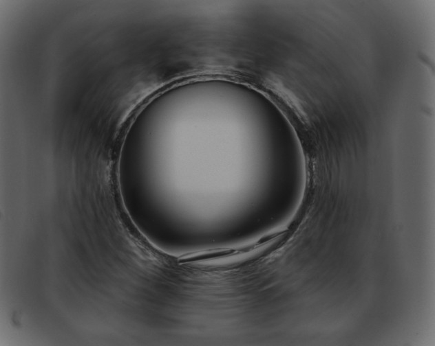 X0000093581260200710151138