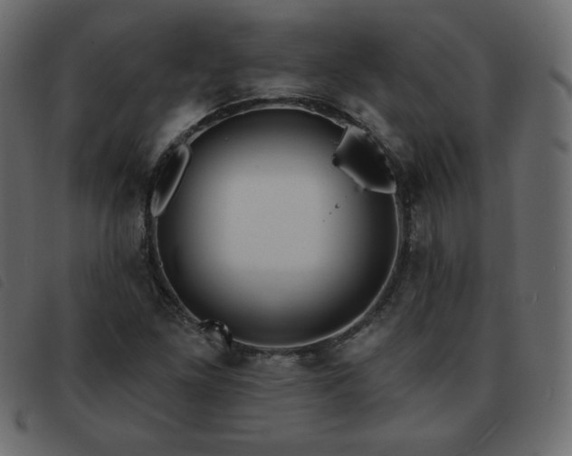 X0000093581261200710151138