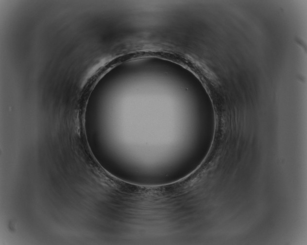 X0000093581262200710151138