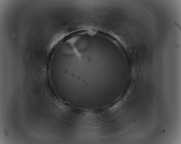 X0000093581263200710151138