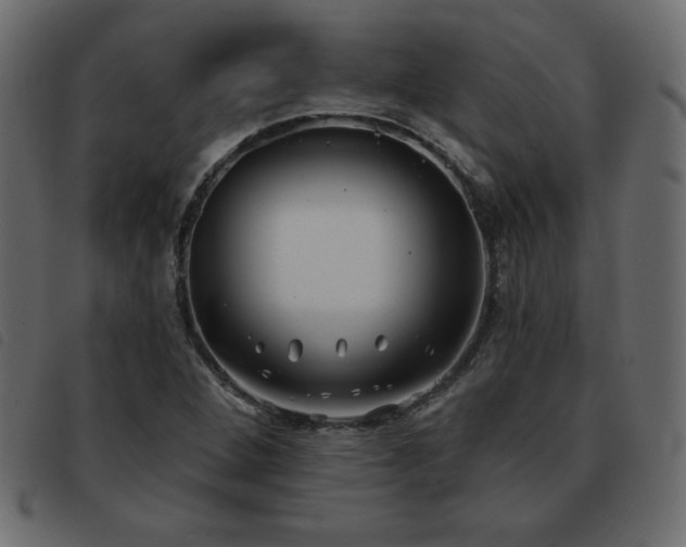 X0000093581264200710151138