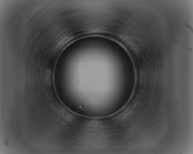 X0000093581265200710151138