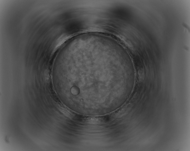 X0000093581266200710151138