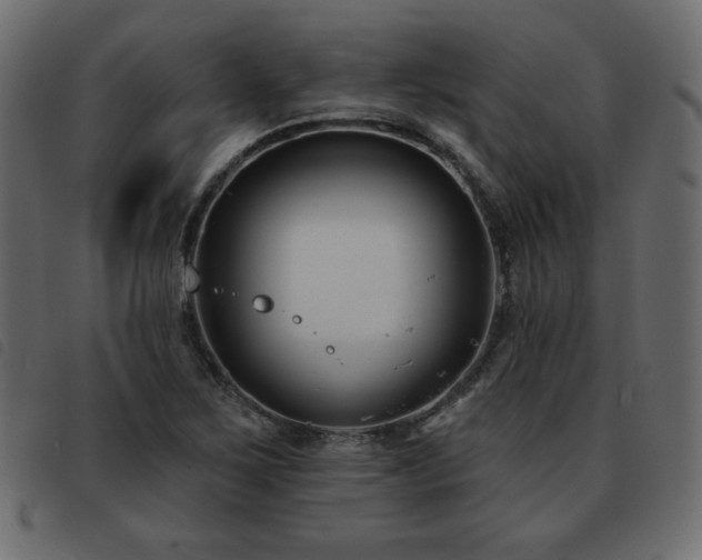 X0000093581267200710151138
