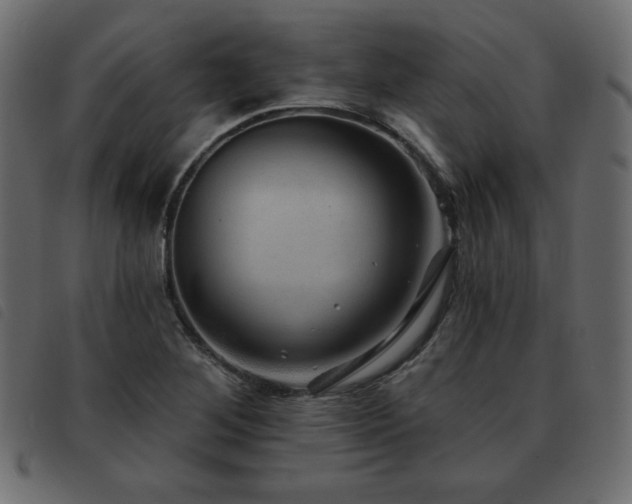 X0000093581268200710151138