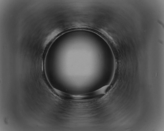 X0000093581269200710151138