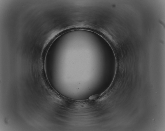 X0000093581270200710151138