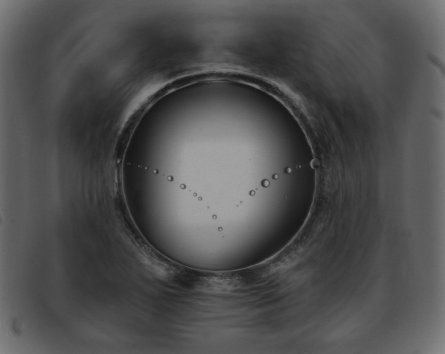 X0000093581271200710151138