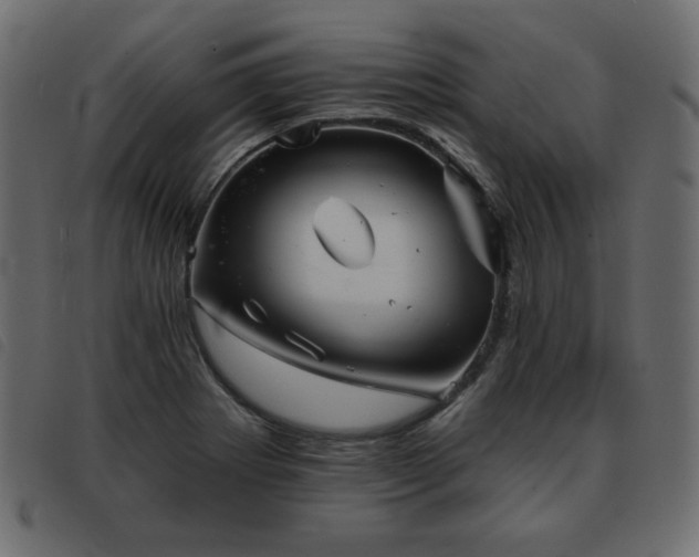 X0000093581273200710151138