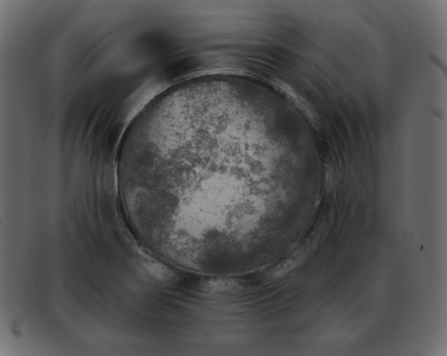 X0000093581274200710151138