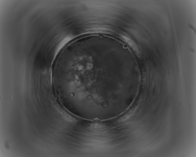 X0000093581275200710151138