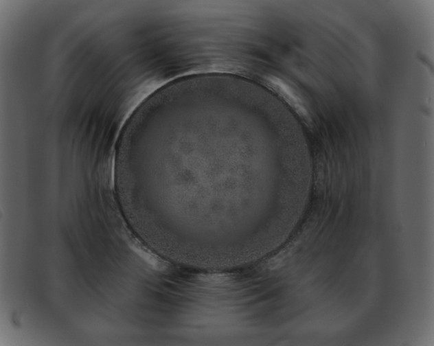 X0000093581276200710151138