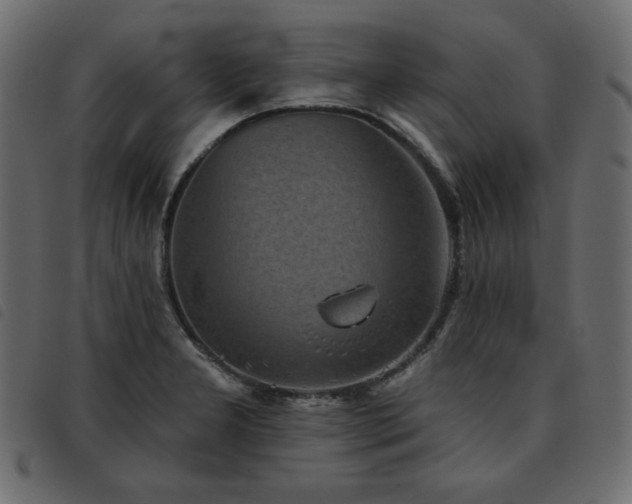 X0000093581277200710151138
