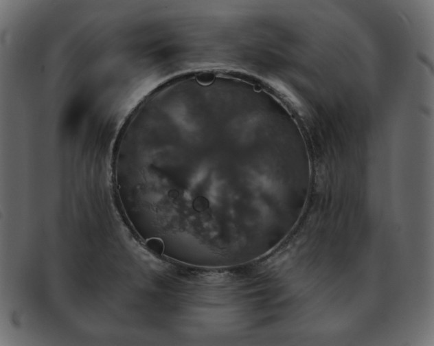 X0000093581279200710151138