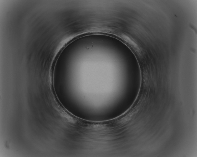 X0000093581280200710151138