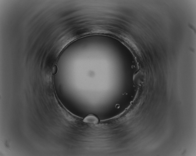 X0000093581281200710151138