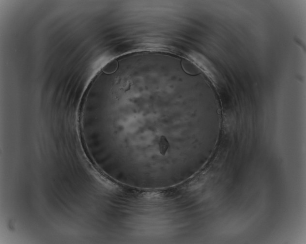 X0000093581283200710151138