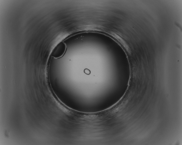 X0000093581285200710151138