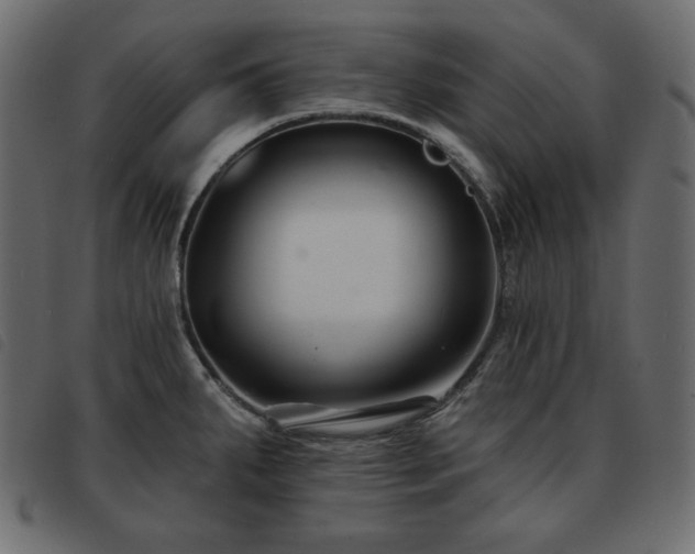 X0000093581287200710151138