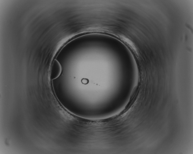 X0000093581288200710151138