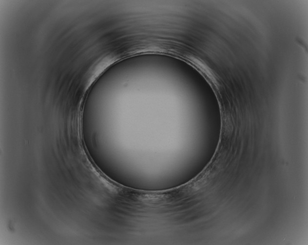X0000093581290200710151138