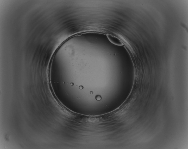 X0000093581291200710151138