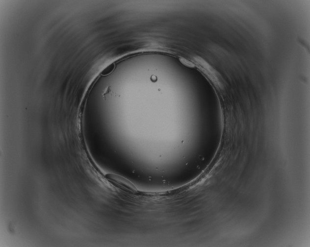 X0000093581292200710151138