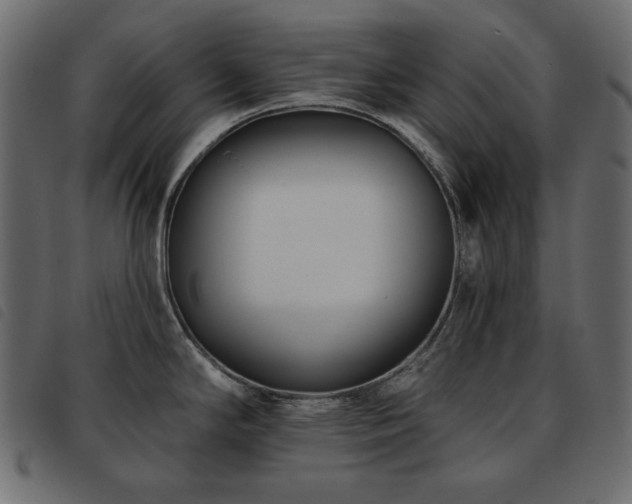 X0000093581294200710151138