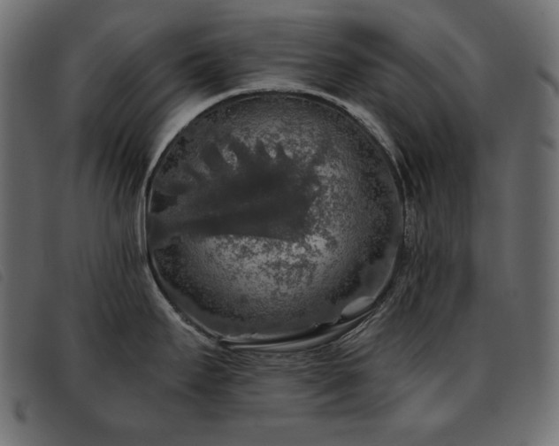 X0000093581295200710151138