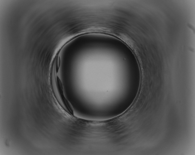 X0000093581296200710151138