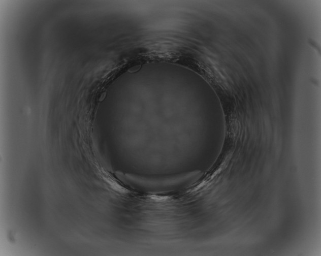 X0000093581297200710151137