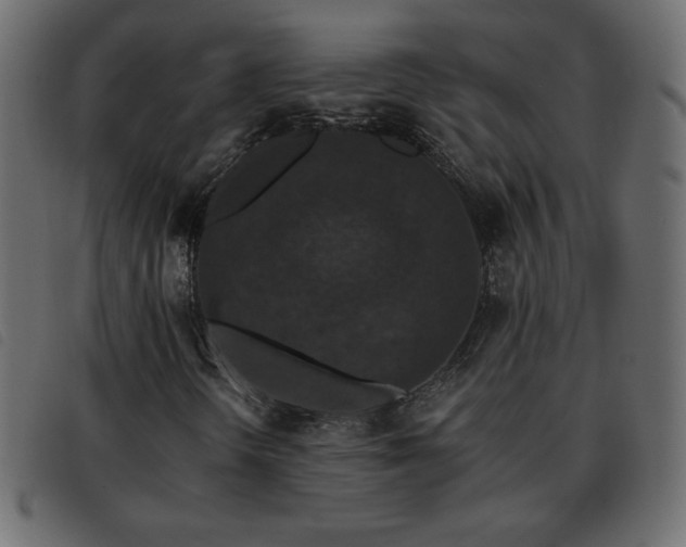 X0000093581298200710151137