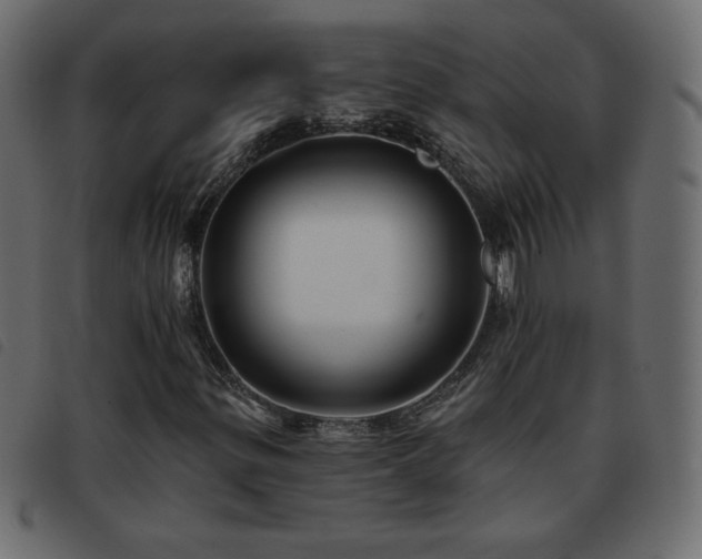 X0000093581299200710151137