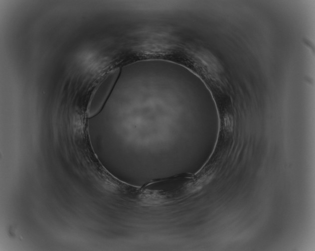 X0000093581300200710151137