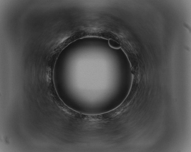 X0000093581301200710151137
