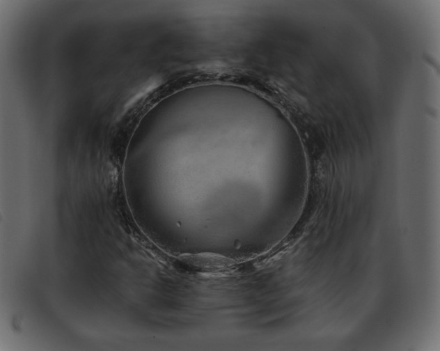 X0000093581302200710151137
