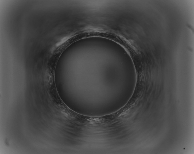 X0000093581303200710151137