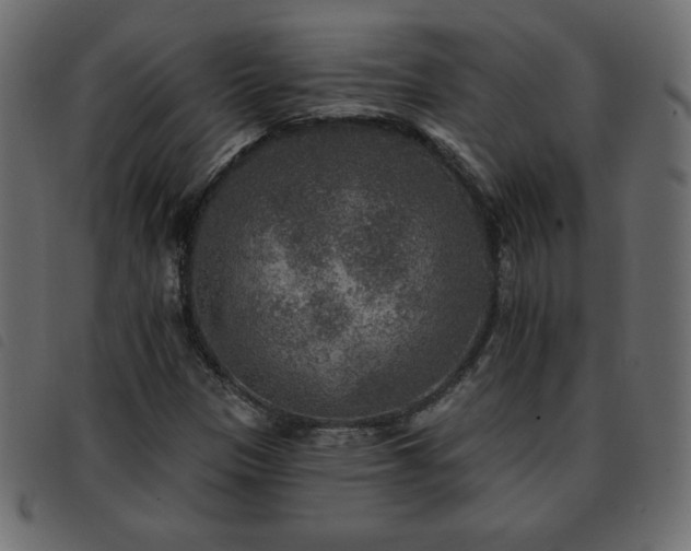 X0000093581305200710151137