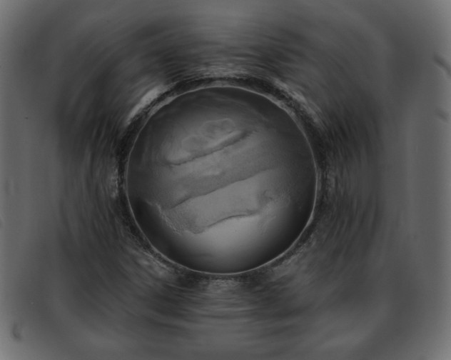 X0000093581306200710151137