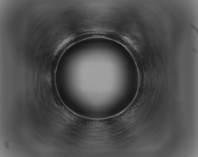 X0000093581307200710151137