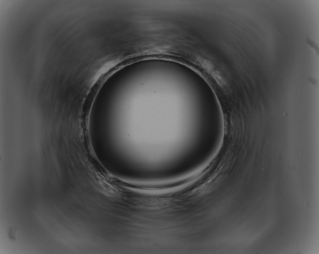 X0000093581308200710151137