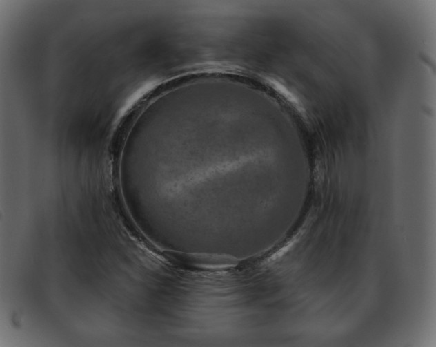 X0000093581310200710151137